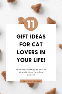 Pinterest Pin Best Gifts for Cat Lovers