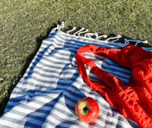 Image of a local park with picnic blanket laid out. 