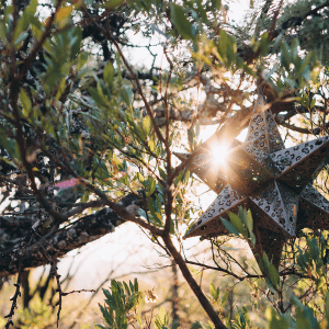 Image of sunlight in the morning. 
