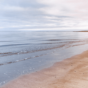 Image of beach with waves washing up on sand. 