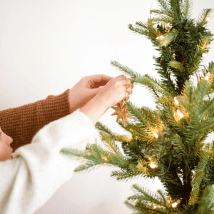 Image of mother and daughter putting ornaments on a tree. 