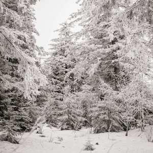 Image of winter trails.